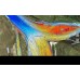 Навигационные карты X MAP 2025 для эхолотов Lowrance | Самара 